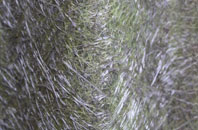 Greens Norton fibreglass roof work